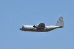 DSC_2260em