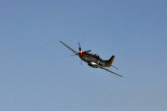 DSC_2416em
