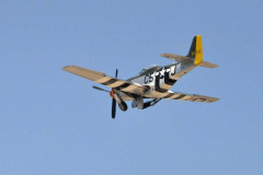 DSC_2423em