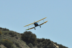 DSC_0321em