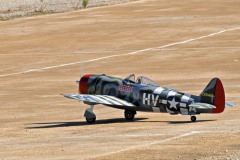 DSC_3551em
