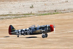 DSC_3554em