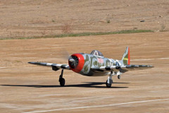 DSC_3555em