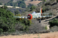DSC_3566em