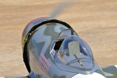 DSC_3748em
