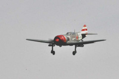 DSC_3119em