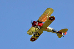 DSC_4255em