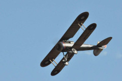 DSC_7498em