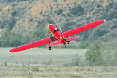 DSC_7603em
