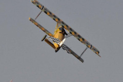 DSC_7719em