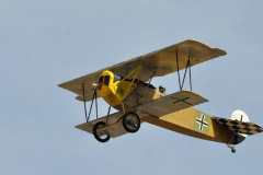 DSC_7736em