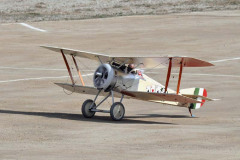 DSC_7742em