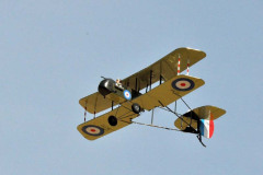 DSC_7767em