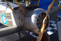 IMAG3045