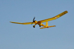 DSC_6463em