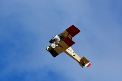 DSC_4815em