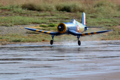 DSC_5240em