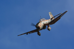 DSC_5423em
