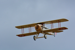 DSC_5494em