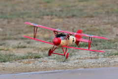 DSC_5584em
