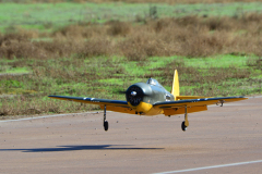 DSC_6117em