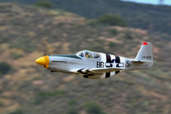 DSC_8279em