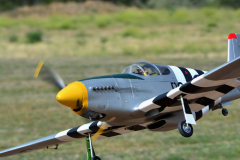 DSC_8295em