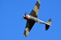 DSC_6335em