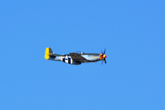 DSC_6349em
