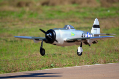 DSC_6375em