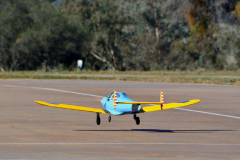 DSC_6472em