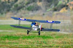 DSC_6525em