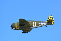 DSC_6535em